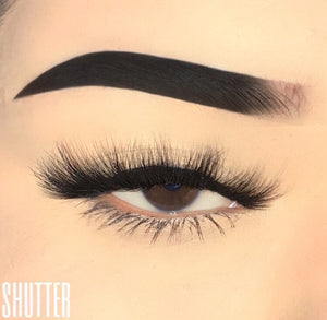 Shutter