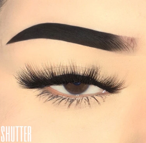 Shutter